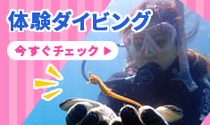 体験ダイビング