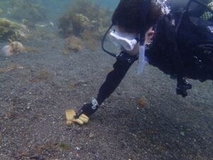 海中清掃は意外と難しい⁉