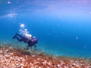 冬のダイビングの魅力は❓