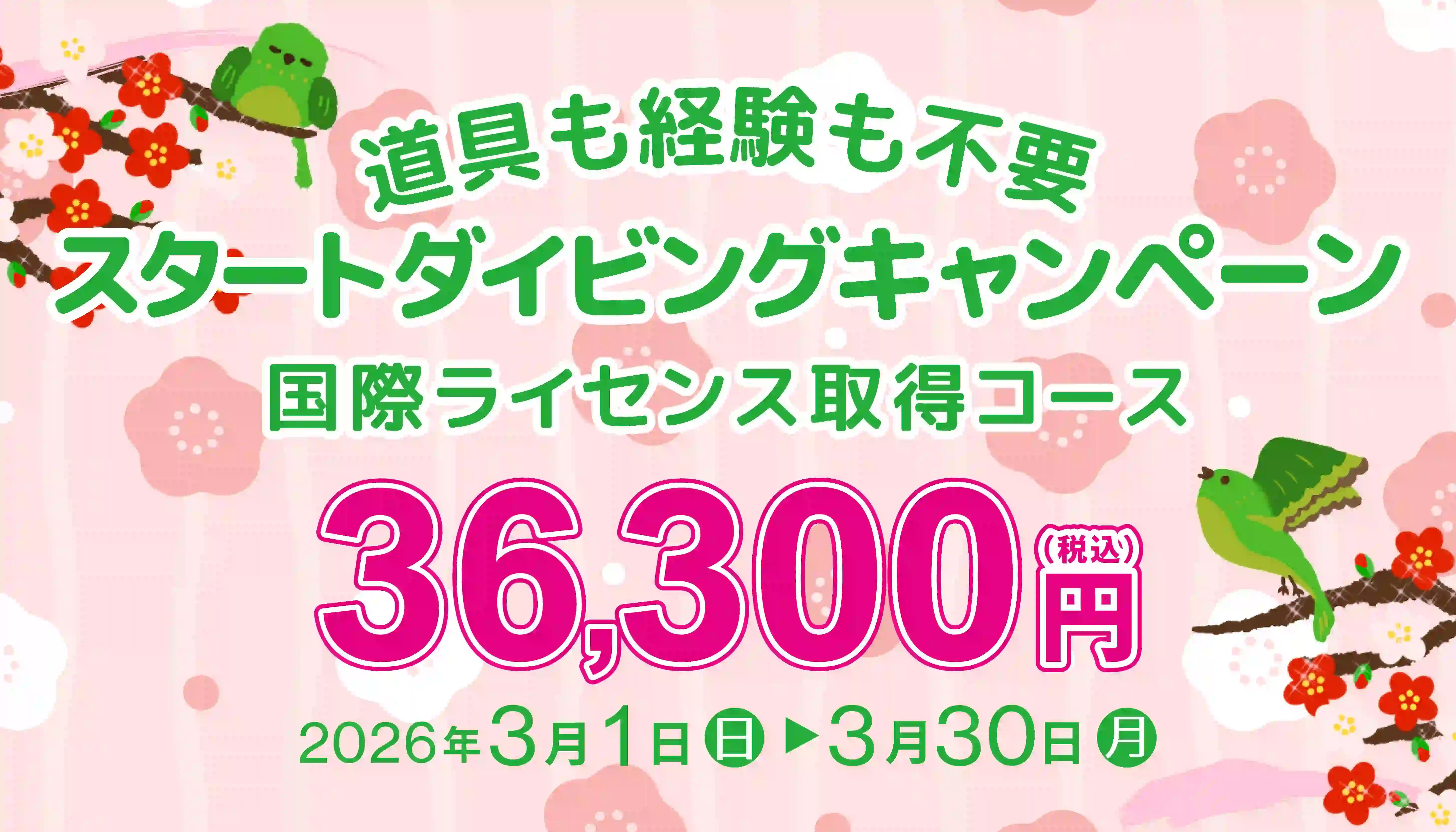 ダイビングライセンス